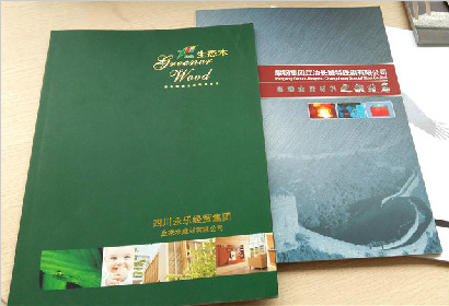 四川永乐经贸集团生态木建材有限公司
